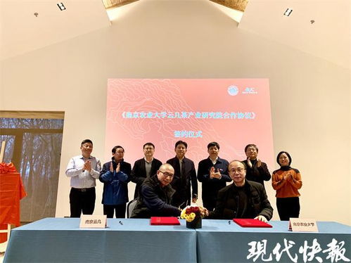 茶葉也能做親子鑒定？南農(nóng)大突破性技術(shù)即將在南京落地推廣